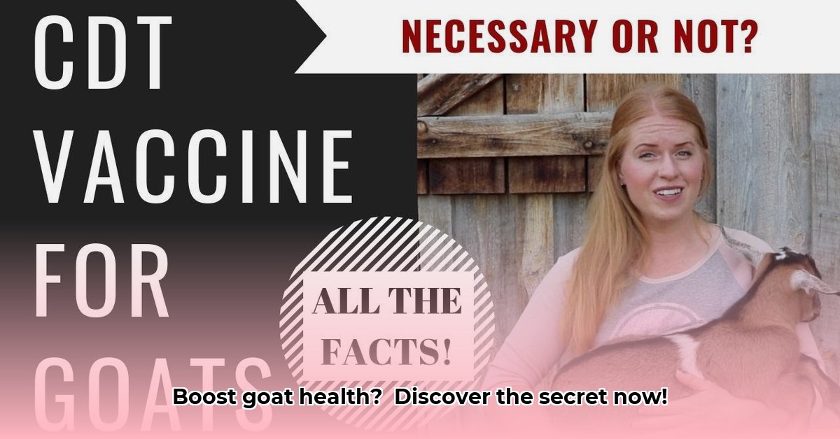 cdt-vaccine-for-goats-tractor-supply